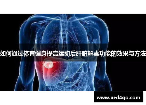如何通过体育健身提高运动后肝脏解毒功能的效果与方法